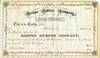 An Attractive, Unengrossed Stock for the Boston Rubber Company