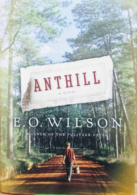 Anthill