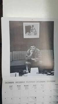 cover of Calendario / Kalender / Calendrier / Calendar: 2011 : Che Guevara, lamina 12