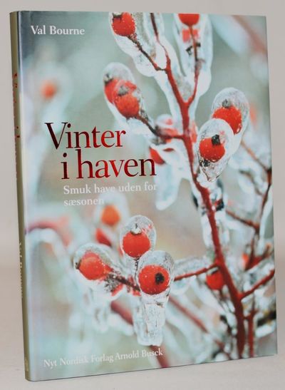 Vinter i haven.