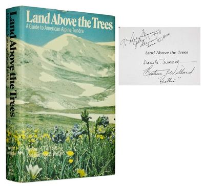 Land Above the Trees