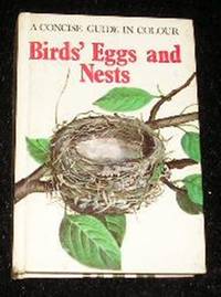 Birds Eggs and Nests