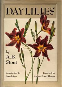 Daylilies