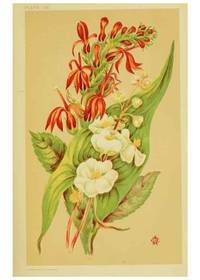 cover of Reproducción/Reproduction 46713248492: Studies of plant life in Canada;. Ottawa,A.S. Woodburn,1885..