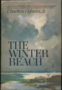 The Winter Beach