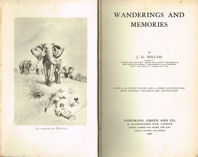 Wandering and Memories.