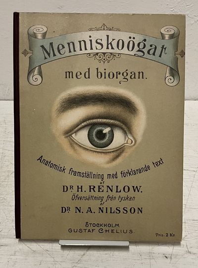 Menniskoögat med biorgan. Anatomisk framställning…