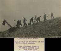 Six Press Photographs of the US Forest Service’s Attempts to Fight Wildfires, Early 20th Century