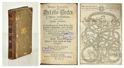 Delsboa illustrata, eller Delsbo socken i norra…