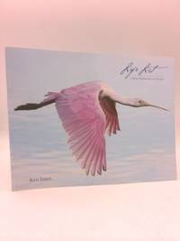Life List - A Maine Birdwatcher in Florida