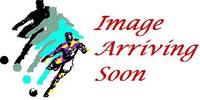 The complete horseman by William Scarth Dixon - Hardcover - Fourth Impression - 1929 - from Lion Books PBFA (SKU: 70045)