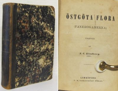 Östgöta flora. (Fanerogamerna).