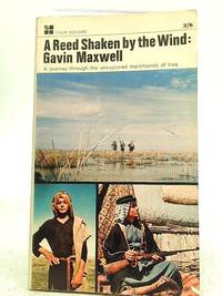 A Reed Shaken By the Wind