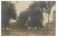 [Real Photo Post Card]: Middle St., Hadley, Mass
