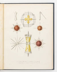Die Radiolarien (Rhizopoda Radiaria). Eine Monographie von Dr Ernst Haeckel ... mit einem Atlas...