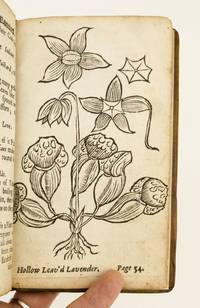 NEW-ENGLANDS RARITIES DISCOVERED: IN BIRDS, BEASTS, FISHES, SERPENTS, AND PLANTS OF THAT COUNTRY....