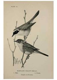 Reproducción/Reproduction 7180151049: Birdcraft :. New York :Macmillan Co.,c1897.