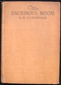 image of The Enormous Room