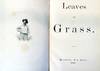Leaves of Grass