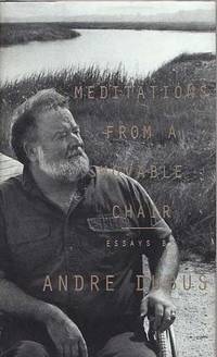 cover of Meditations From A Movable Chair. Essays