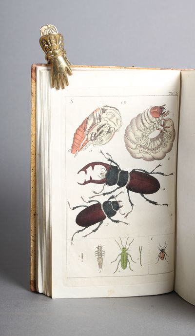 Svensk Zoologi, forfättad af C. Quensel. Med illuminerade figurer, tecknade af J. W. Palmstruck. Bind 1-2. (photo 2)