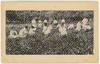 The Bethany Daisies - a field of daisies coincides with graduation