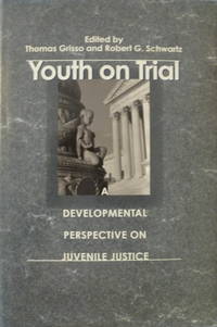 cover of Youth on Trial: A Developmental Perspective on Juvenile Justice