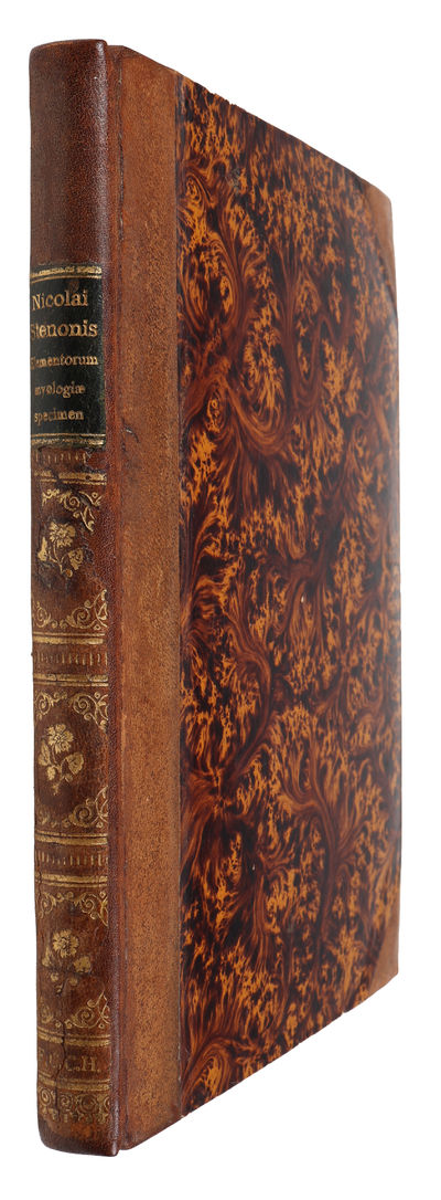 Elementorum myologiae specimen, seu musculi descriptio geometrica. Cui accedunt canis carchariae dissectum caput, et dissectus piscis ex canum genere. - [ "THE FIRST OUTLINE OF A SCIENTIFIC THEORY OF THE DEVELOPMENT OF THE EARTH" ] (photo 2)