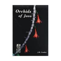 Orchids of Java