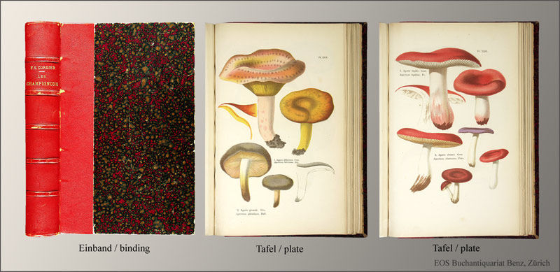 Les champignons. by Cordier, F(rançois) S(imon) | 1876 | - Biblio