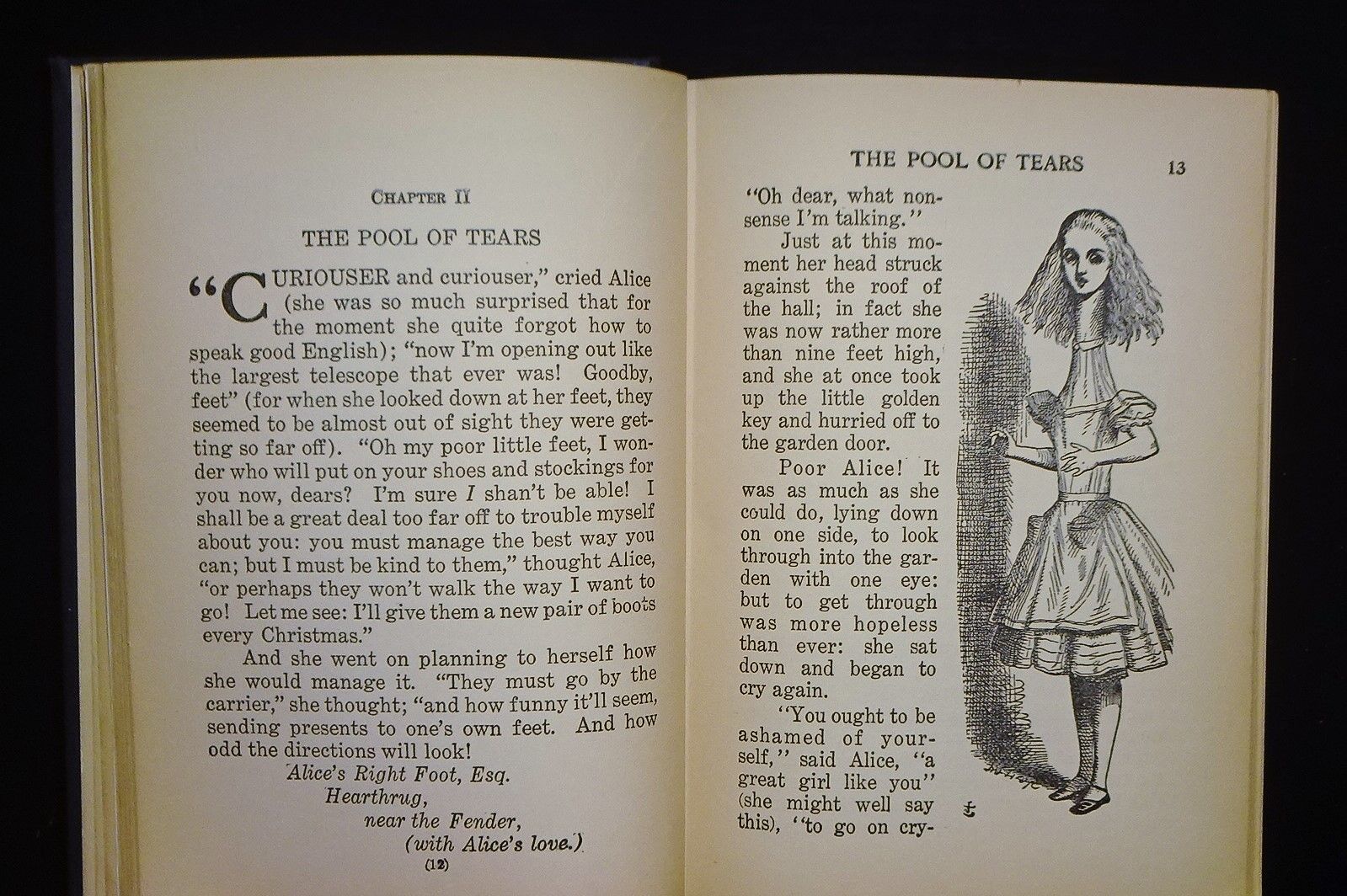 Alice%27s Adventures in Wonderland#Chapter Two %E2%80%93 The Pool of Tears