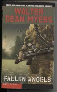cover of Fallen Angels