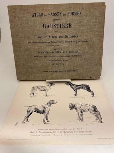 Atlas der Rassen und Formen unserer Haustiere. …