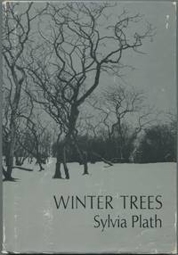 image of Winter Trees