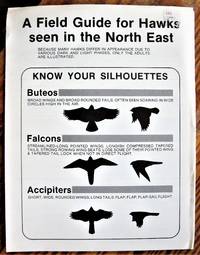 A Field Guide for Hawks Seen in the North East