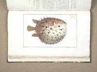 ICHTHYOLOGIE, OU HISTOIRE NATURELLE, GÉNÉRALE ET PARTICULIÈRE DES POISSONS