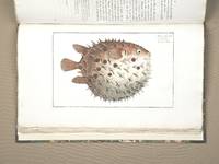 ICHTHYOLOGIE, OU HISTOIRE NATURELLE, GÃ�NÃ�RALE ET PARTICULIÃ�RE DES POISSONS de BLOCH, MARC Ã�LIÃ�SER - 1795