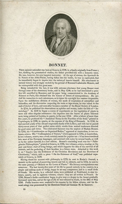 Engraved Portrait by Holl