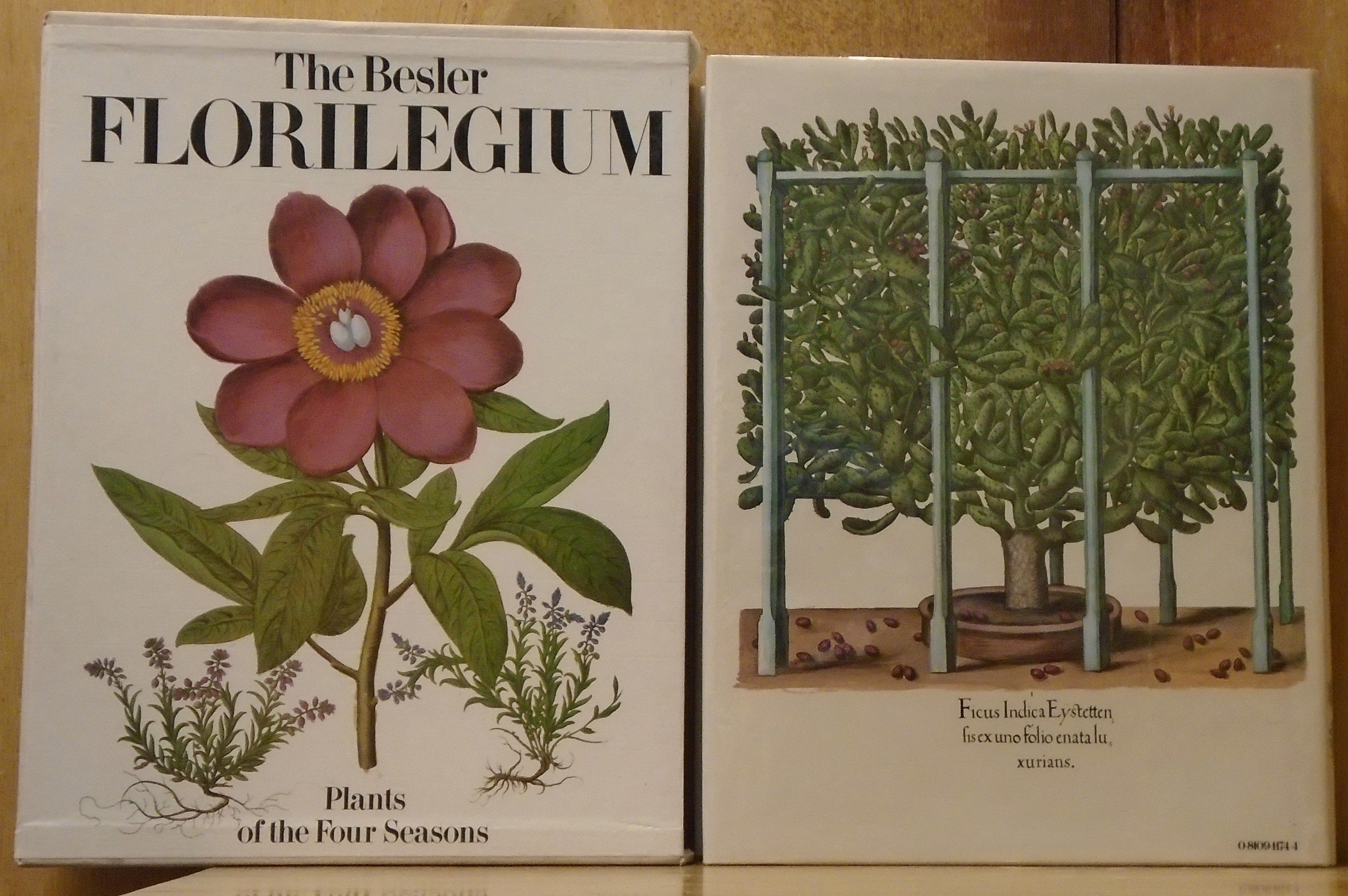 The Besler Florilegium : Plants of the Four Seasons by Besler