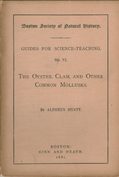 The Oyster, Clam And Other Common Mollusks