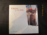 Kittens in the Sun