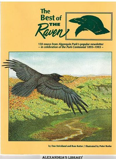 the raven essays the raven essays