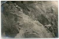 [Photographs]: Austro-Hungarian Officer's Photographs on the Eastern and Southern Fronts during World War I.