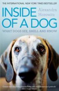 image of Inside of a Dog