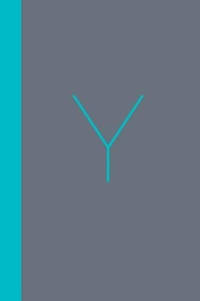 Y, the Workbook: A Practical Companion to y - Christian Millennial Manifesto