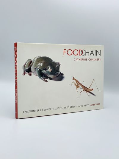 Food Chain: Encounters Between Mates, Predators and Prey