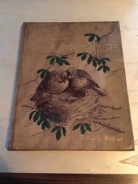 image of Birds and their Nests
