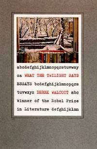 What the Twilight Says : Essays