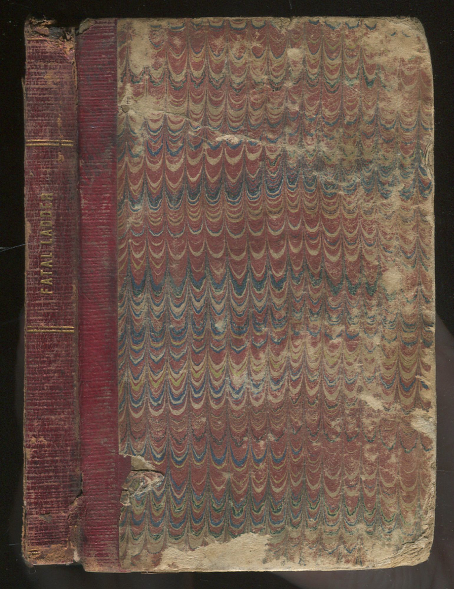 The Fatal Ladder: or, Harry Linford