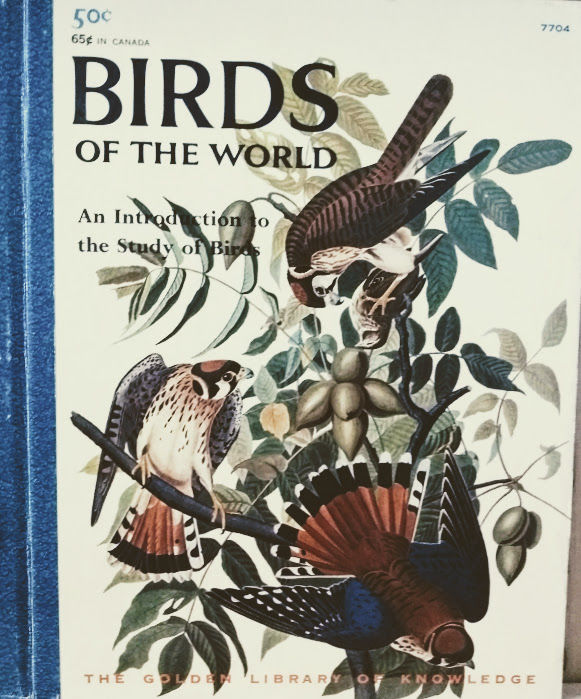 where was handbook of the birds of the world published where was handbook of the birds of the world published